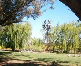Simply Tomatoes - Tourism Canberra 7
