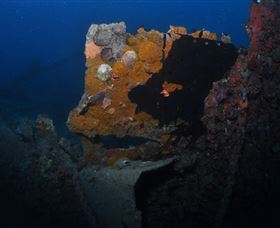 Lady Bowen Dive Site - Tourism Canberra 0
