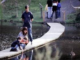 Valley Lake Conservation Park - Tourism Canberra 2