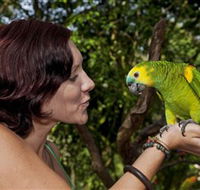 Birdworld Kuranda - Tourism Canberra