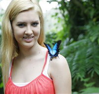 Australian Butterfly Sanctuary - Tourism Canberra