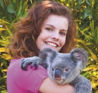 Kuranda Koala Gardens - Tourism Canberra