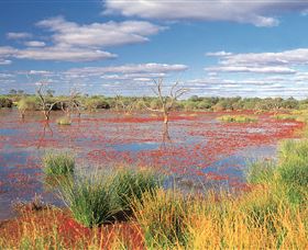 Adventure Way - Tourism Canberra 3