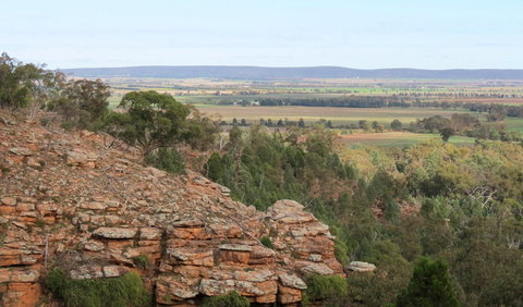 Jacks Creek Walking Track - Tourism Canberra 0