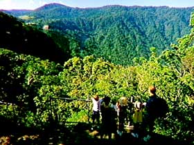 Eungella National Park - Tourism Canberra 3