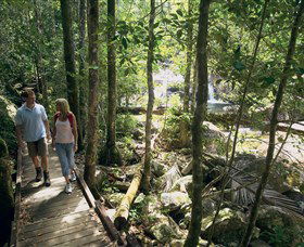 Eungella National Park - Tourism Canberra 2