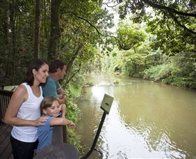 Platypus Viewing At Broken River - Tourism Canberra 1