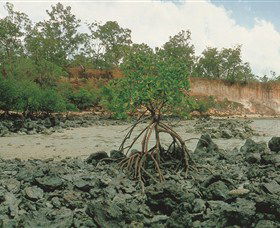 Garig Gunak Barlu National Park - Tourism Canberra 3