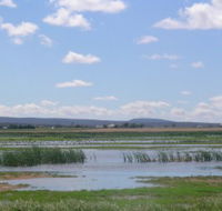 Fivebough Wetlands - Tourism Canberra
