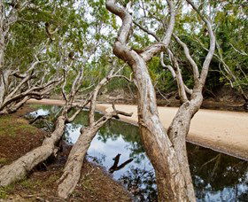 Coen QLD Tourism Canberra