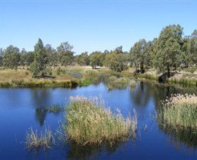 Narrandera Wetlands - Tourism Canberra 0