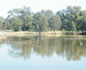 Narrandera Wetlands - Tourism Canberra 1