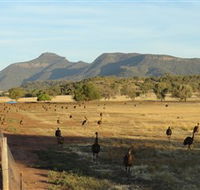 Emu Logic - Tourism Canberra