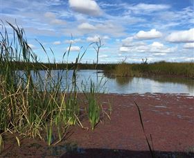 Gwydir Wetlands - Tourism Canberra 0
