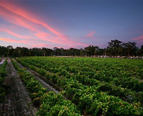 Amherst Winery - Tourism Canberra 0