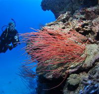 Three Sisters Dive Site - Tourism Canberra