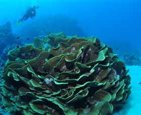 Three Sisters Dive Site - Tourism Canberra 2