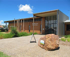 Pilliga Forest - Tourism Canberra 0