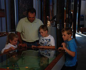 Pilliga Forest - Tourism Canberra 1