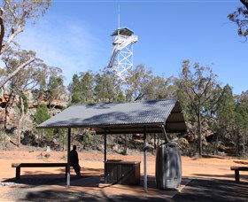 Pilliga Forest - Tourism Canberra 2