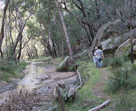 Pilliga Forest - Tourism Canberra 3