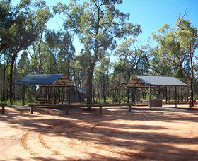 Pilliga Forest - Tourism Canberra 6