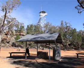 Pilliga Forest Lookout Tower - Tourism Canberra 0