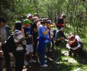 Warrumbungle National Park Discovery Program - Tourism Canberra 0