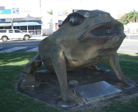 Big Cane Toad - Tourism Canberra 0