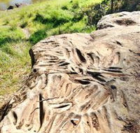 Terramungamine Rock Grooves - Tourism Canberra