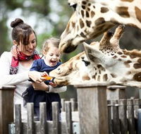 Taronga Western Plains Zoo Dubbo - Tourism Canberra