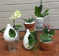 Cobram Florist - Tourism Canberra