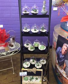 Cobram Florist - Tourism Canberra 3