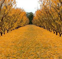 Sun Country on the Murray Farm Gate Trail - Tourism Canberra