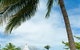 All Saints Chapel - Hamilton Island - thumb 3