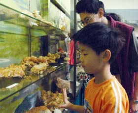 Crystal Kingdom - Tourism Canberra 2