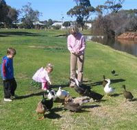 Roy Little Park Merredin - Tourism Canberra