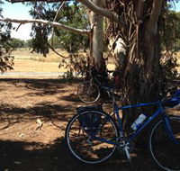 Murchison Rail Trail - Tourism Canberra