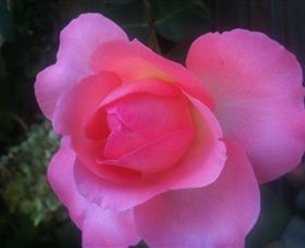 Abandon Stress Mobile Massage - Tourism Canberra 2