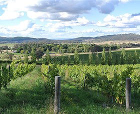 Sassy Wines - Tourism Canberra 0
