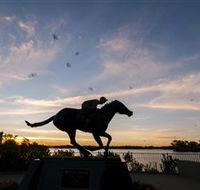 Black Caviar Statue - Tourism Canberra