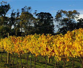 Paramoor Winery - Tourism Canberra 3