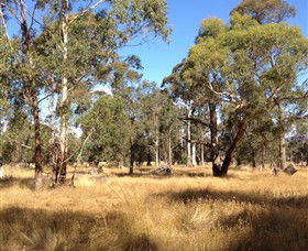Paramoor Winery - Tourism Canberra 4