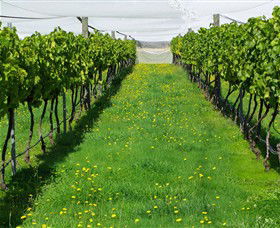 Paramoor Winery - Tourism Canberra 6