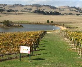 Grange Cleveland Winery - Tourism Canberra 1