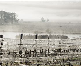Grange Cleveland Winery - Tourism Canberra 7