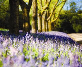 Duneira, Mt Macedon - Tourism Canberra 4
