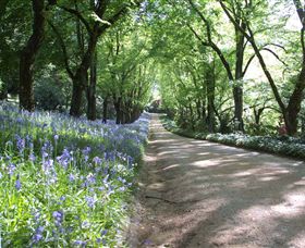 Duneira, Mt Macedon - Tourism Canberra 3