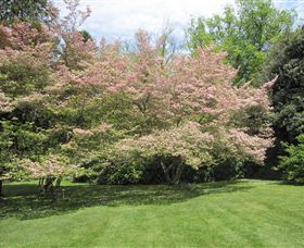 Duneira, Mt Macedon - Tourism Canberra 7