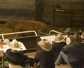 Livestock Marketing Centre - Tourism Canberra 2